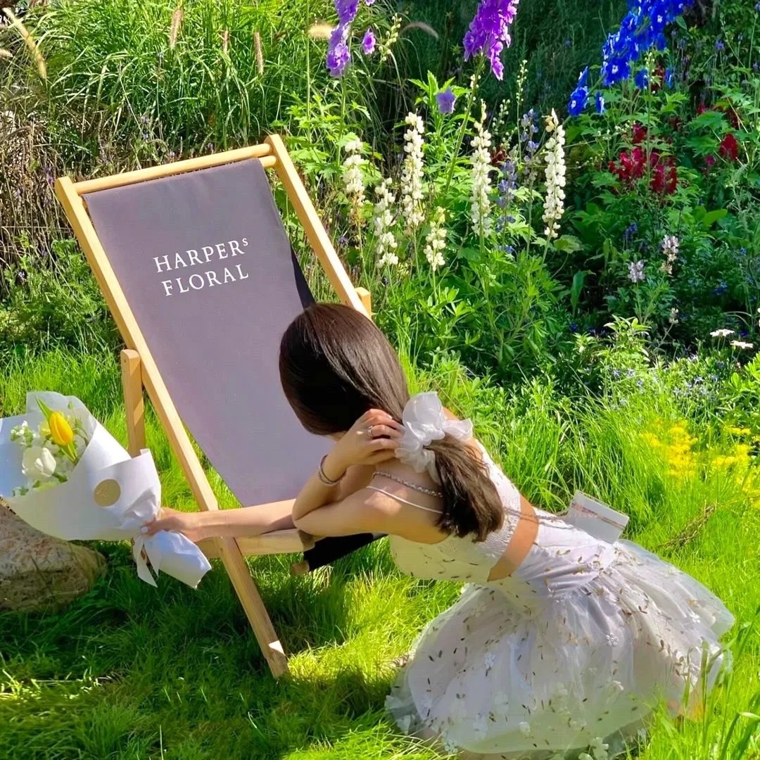 恐龙战队第二季